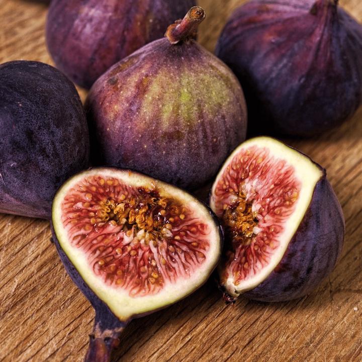 Produktbild Plant in a Box Ficus Carica - Feigenbaum (70 cm)