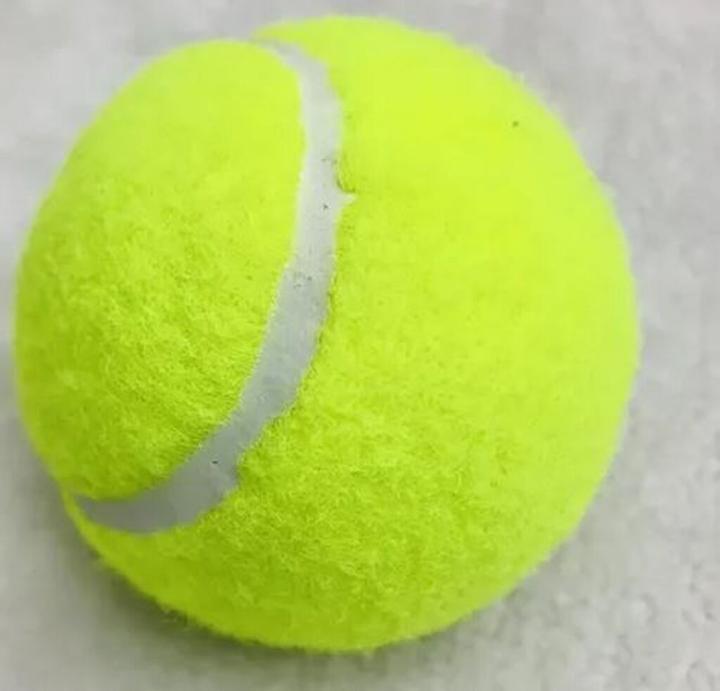 Produktbild Champ Tennisbälle 3er Set