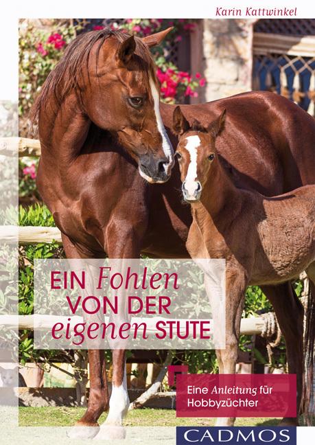 Produktbild Ein Fohlen von der eigenen Stute (Deutsch, Karin Kattwinkel, 2015)