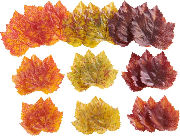 DPI Autumn foliage