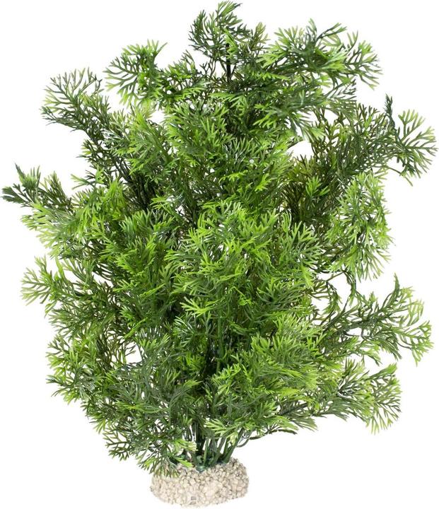 EBI Aqua Della Plant Phoenix L (altre voci)