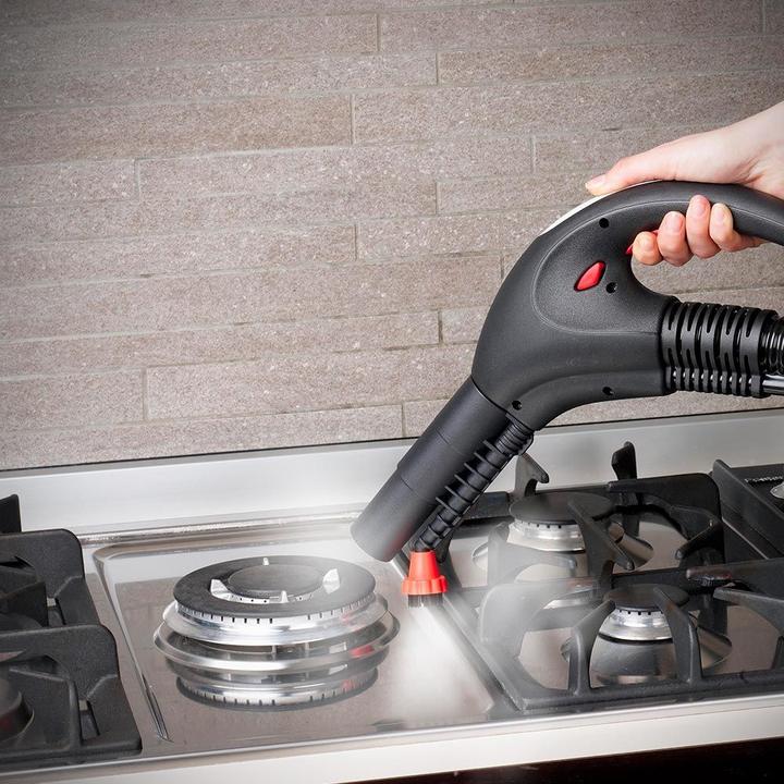 Actual product image Polti FAV80 (6 bar, 2450 W)