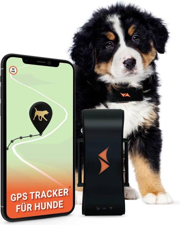Actual product image PAJ GPS PET Finder 4G GSM Tracker Pet Tracker