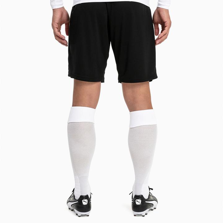 Actual product image Puma Team LIGA Socks-703438 (47 - 49)