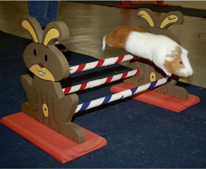 Actual product image Kerbl Rodent hurdle