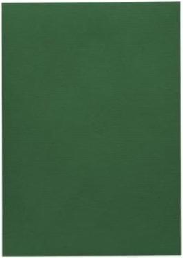Image du produit Artoz 1001 cartes r.green (A4, 220 g/m², 5 x)