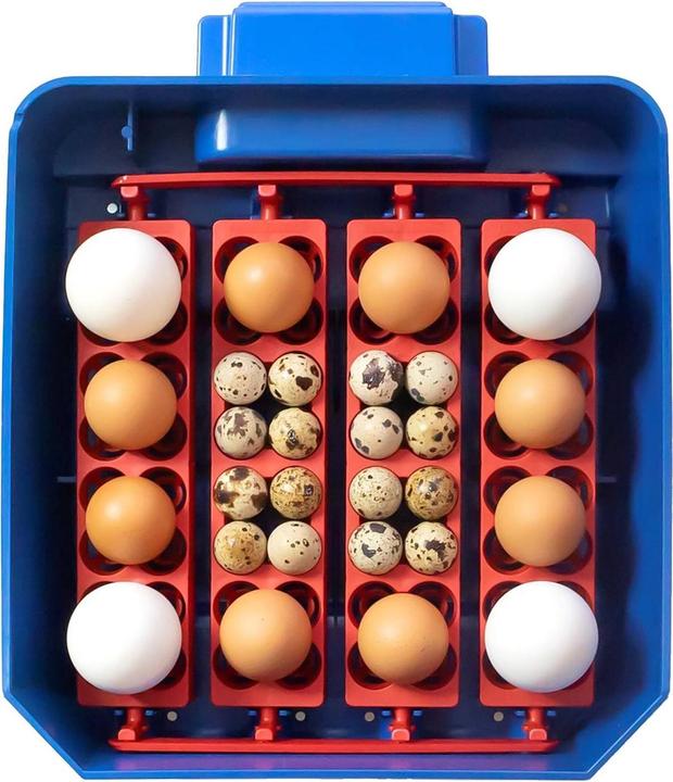 Actual product image APS Incubator - 16 eggs - fully automatic - antimicrobial biomaster protection