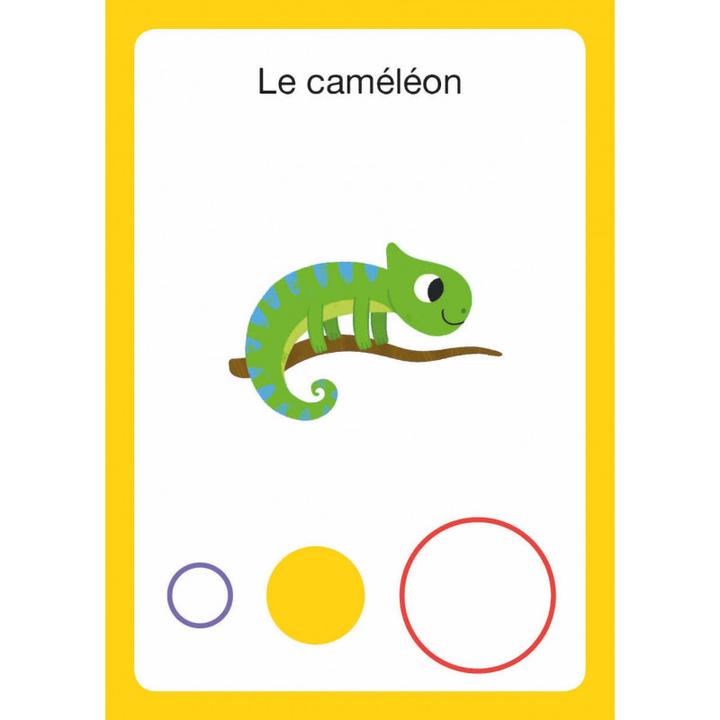 Label énergétique Auzou France Mon premier jeu de bataille (Français)