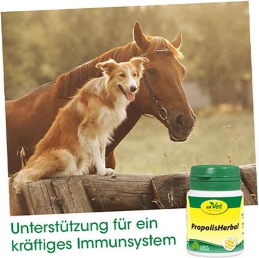 Immagine prodotto cdVet PropoliErboristeria (Adulto, 1 pz., 20 g)