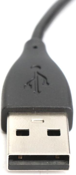 Image du produit Fitbit Câble de chargement de la Blaze