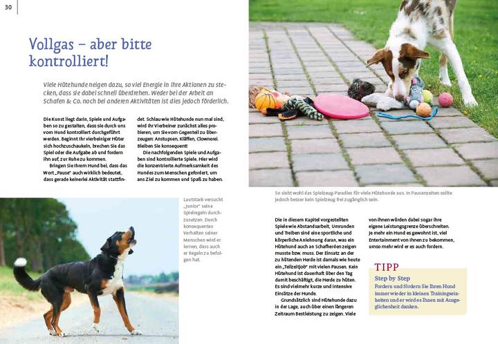 Produktbild Spiele und Action für ausgeglichene Hütehunde (Deutsch, Marion Albers, 2023)