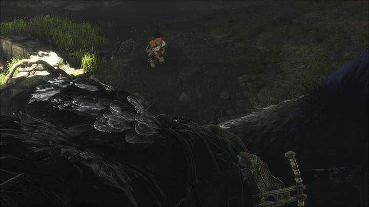 Actual product image Sony The Last Guardian (PS4, Multilingual)