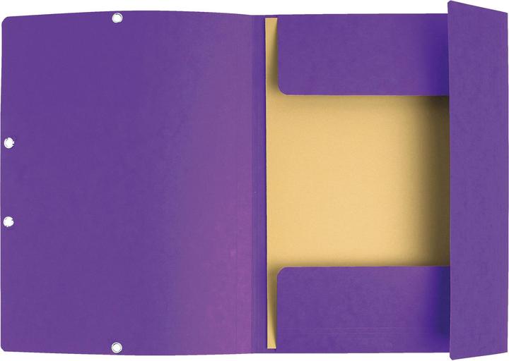 Produktbild Exacompta Sammelmappe (A4, 1 x)