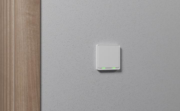 Actual product image Tesla TSL-SWI-ZIGBEE2