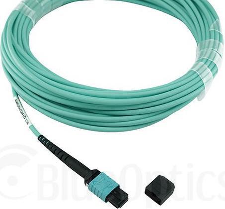 Actual product image BlueOptics Telesis AT-MTP12-7 compatible MTP-MTP OM3 patch cable 7.5 metres