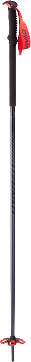 Dynafit Tour Pole (145 cm)