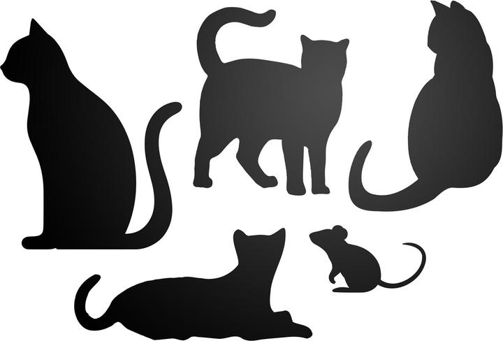 Trendform Selbstklebende Haftfläche ELEMENT FLEX CAT (Pinnwand)