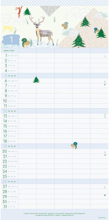 Actual product image Greenline Turnowsky 2025 family planner, 22x45cm, family calendar with efficient (22 x 45 cm, Hardcover, German)