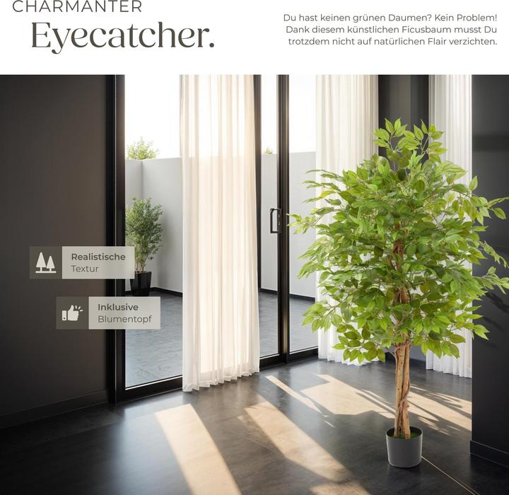 Image du produit tectake Ficus Fida (160 cm)