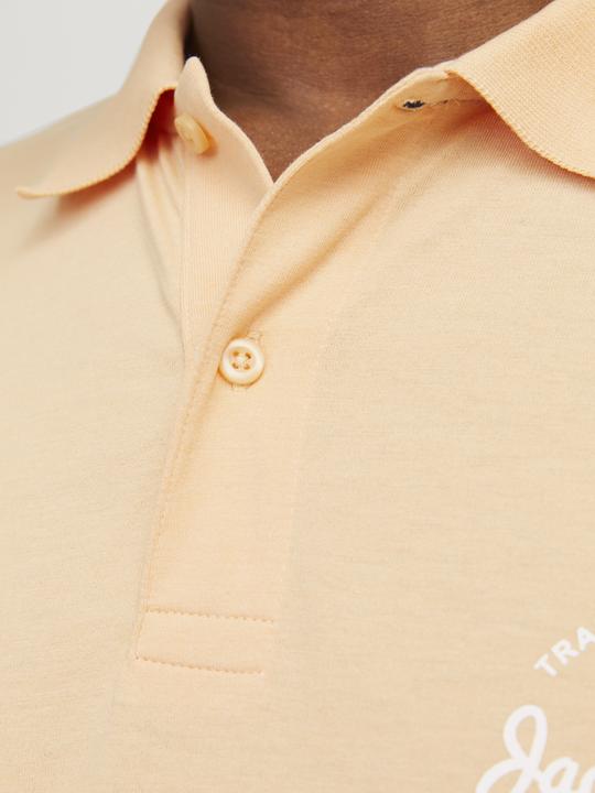 Actual product image Jack & Jones Jjforest Polo Ss (S)