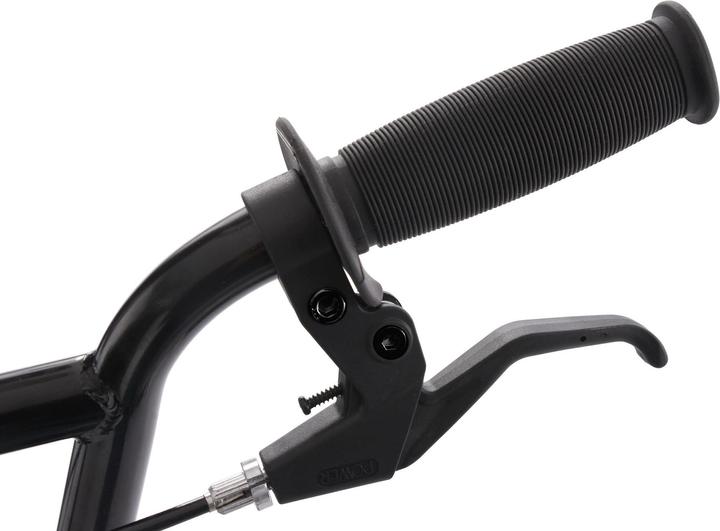 Actual product image KS Cycling Rise (20")