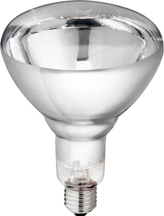 Image du produit Philips 22315 Lampe en verre trempé (150 W)