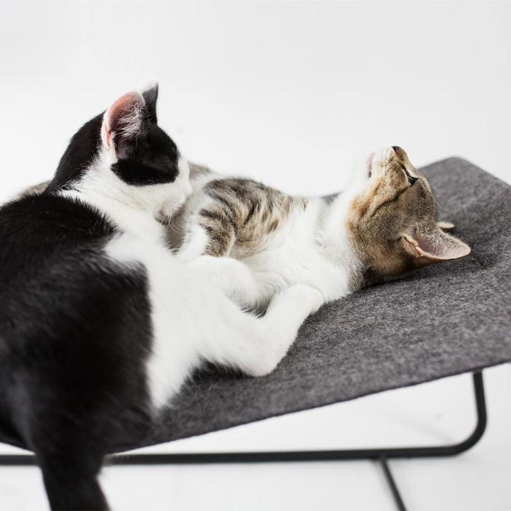 Produktbild LucyBalu FLOAT KatzenhÃ¤ngematte (Katze)