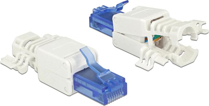 Image du produit Delock Prise RJ45, UTP, Cat.6A, 2 pièces (Câble réseau Connecteur)