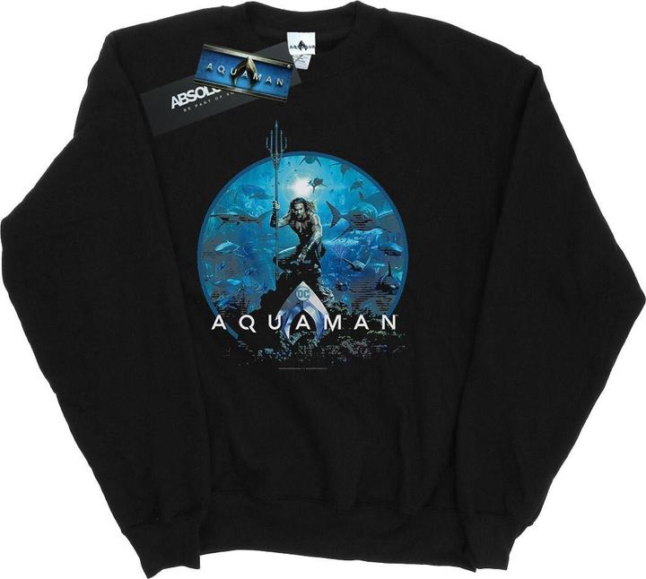 Aquaman Circle Poster Sweatshirt