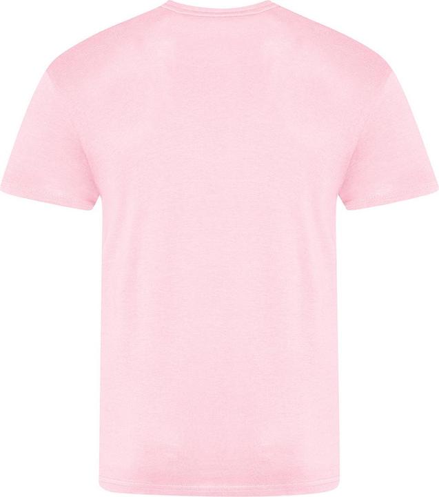 Actual product image Awdis The 100 TShirt (XXL)