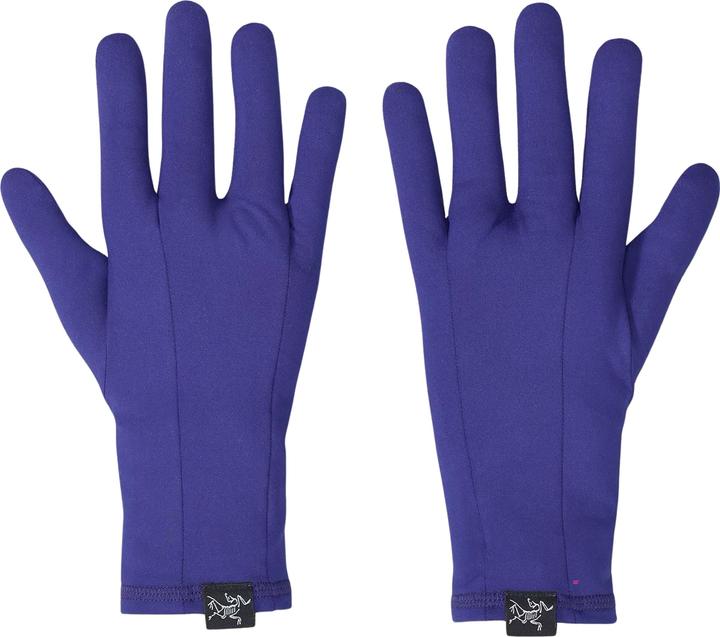 Arc'teryx Rho