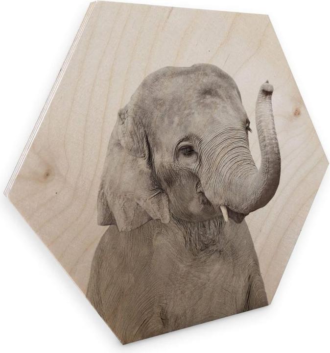 Produktbild Trenddeko Baby Elefant (55 x 47 cm)
