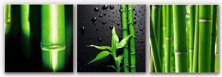 Produktbild Trenddeko Bambus-Set (3-teilig) (50 x 50 cm)