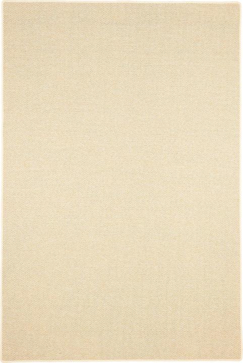 Produktbild Bentzon Natur Flachgewebe Teppich (200 x 300 cm)