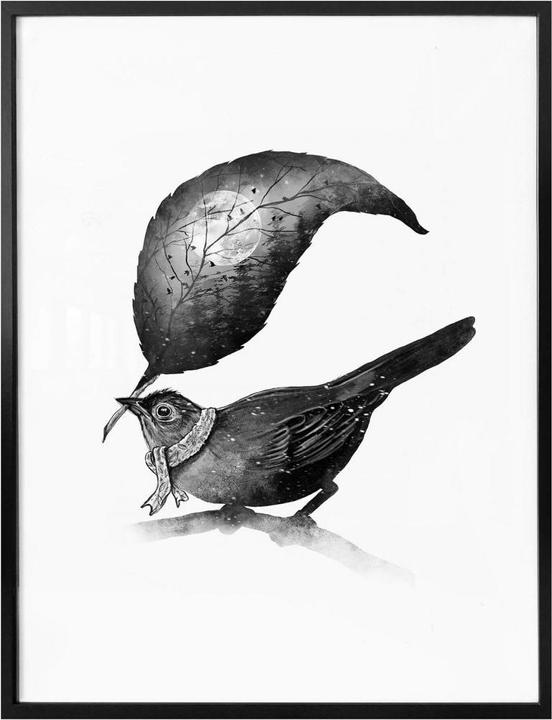 Produktbild Trenddeko The Messenger (60 x 80 cm)