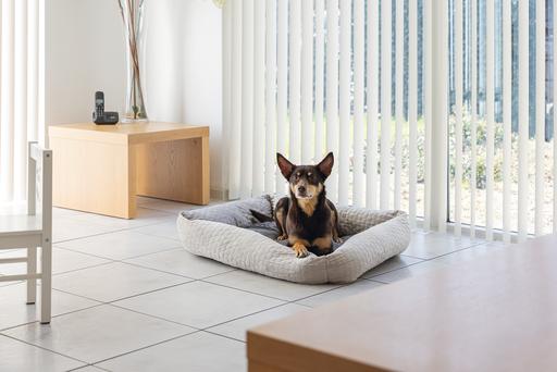 Immagine prodotto Karlie Letto a sdraio in velluto (Cane)