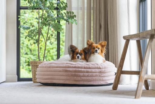 Produktbild Designed by Lotte Liegekissen Reza (Hund)
