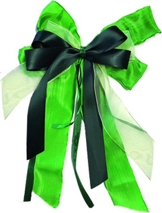Produktbild Nestler Tradition in Emotion Geschenk-Schleifen mattiert grün (Geschenktüte)
