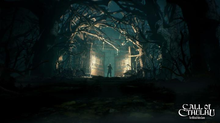 Image du produit Focus Home Interactive L'appel de Cthulhu (PS4, DE)