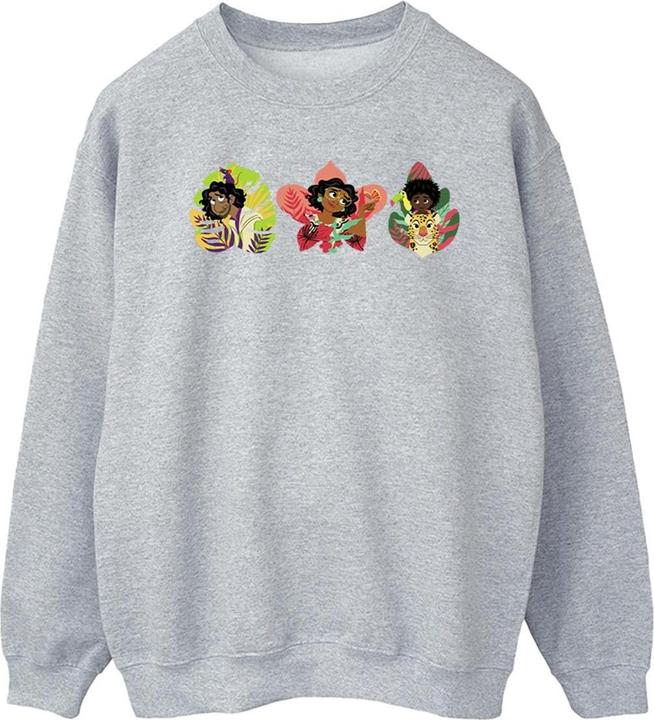 Disney Encanto Family Line Sweatshirt (L)