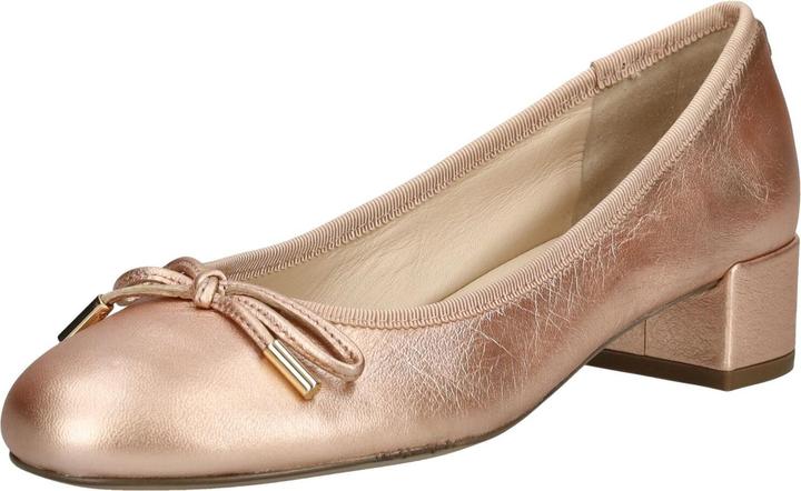 Produktbild Högl Pumps (39)