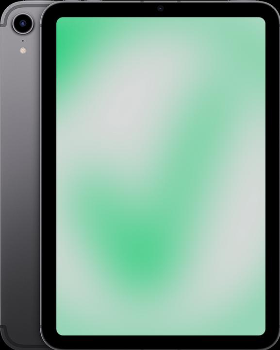 Actual product image Revendo iPad mini 6th gen (2021) (5G, 8.30", 256 GB, Space grey, C / Good)