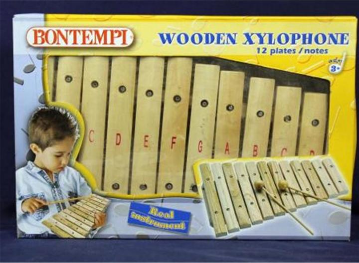 Actual product image Bontempi Xylophone