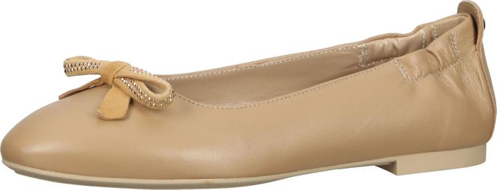 Image du produit Nero Giardini Ballerinas (37)