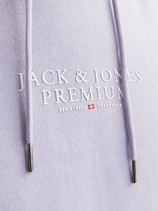 Produktbild Jack & Jones Logo Kapuzenpullover Kapuzenpullover (L)