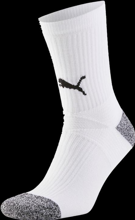 Actual product image Puma teamLIGA Training Socks-657270 (M)