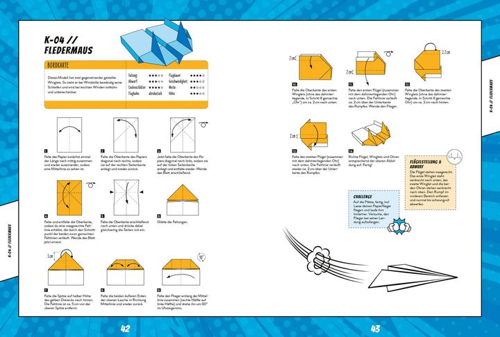 Actual product image Paper aeroplane duel - Fold the fastest aeroplane and (German)