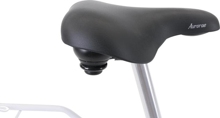 Actual product image Hawk City Classic Joy (48 cm)