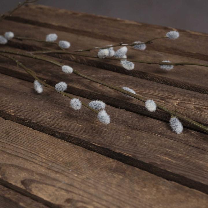 Produktbild Hill Interiors Künstliche Pflanze Weidenkätzchen