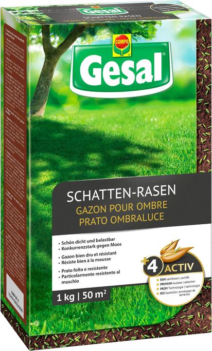 Gesal Schatten-Rasen (Rasensamen)